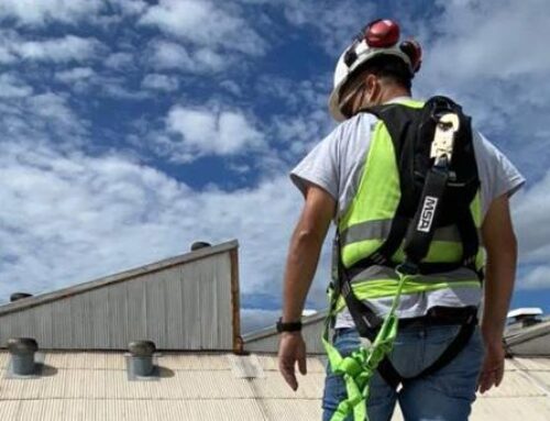 Bac-Dall: Protección contra Caídas